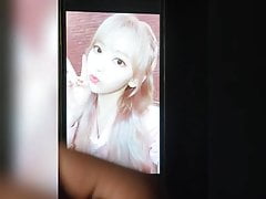 Miyawaki Sakura Cum Tribute Izone