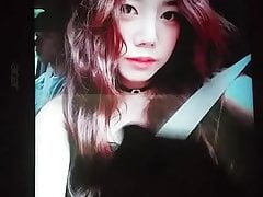 Apink Namjoo cum (tribute) #2