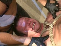 Trusses, faphouse, bondage & discipline