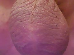 Showing off elastrator band