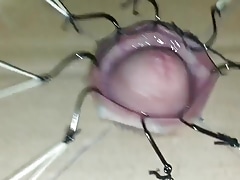Cbt extreme cock torture with fishhooks  part 1