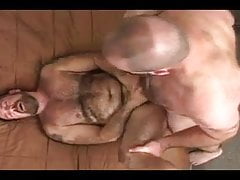 Clint Taylor bear compilation