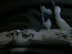 Nut in the Night