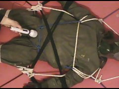 Restrained in the zodiak