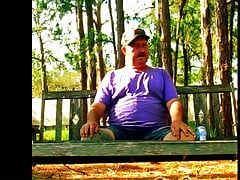 Back Yard Swing