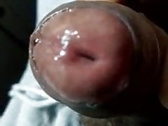 Maharashtrain boy Fresh Juicy Dick - Wardha