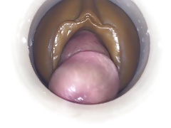The Speed of Cum by cum cam man