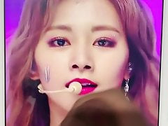 Tzuyu Cum Tribute 2