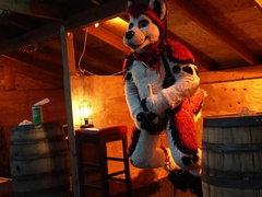 Husky Fursuiter Suspension Jerkoff