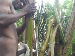 Solo Forest Plantain Fuck