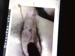 amateur cumtribute request on big dick