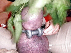 Nettles drive me nuts and make my cock hard!