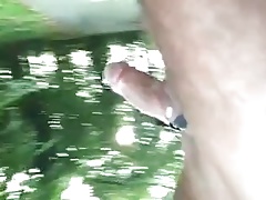 wieder mal im wald