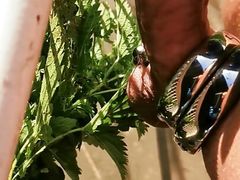 Nettles on the tail and sack part 1
