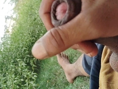 In jungle onanism so scorching