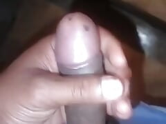 Desi land