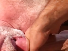 mature bears playing