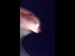 Dandy Brandy gets banged doggy style