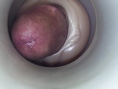 Deez Nutz by cum cam man