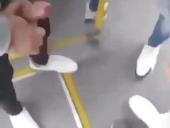 Belgrade bus