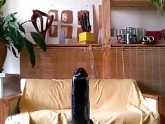 bear riding his big dildo