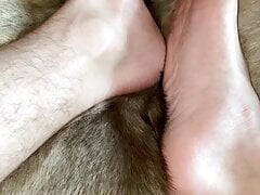Reindeer hide fun