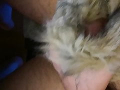 Fucking a dirty Fur Collar full of old Cum