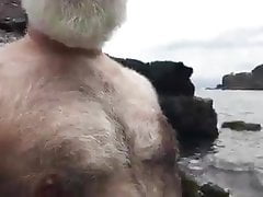 Furry silverbear