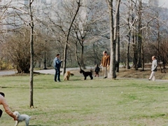 Masculine Nudes - 1954 [003]