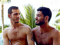 Gay muscle bareback, yankee, sex neprotejat