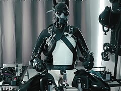 RUBBER PUP BOUND (PP TRAINING)