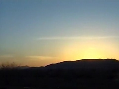 PIGS BAREBACK ORGY I