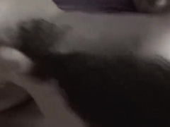 Not-so Ac/dc Romp Yam-Sized and Wooly Penises