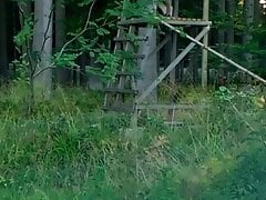 Hunter's Stand