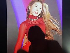 ITZY Chaeryeong cum tribute