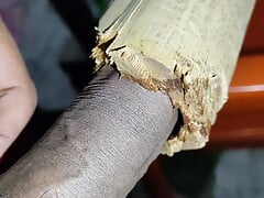 Indian Teen Boy Fucks a Bamboo Hole For enjoyment and Pours lot of cum inside it