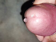 hard cock