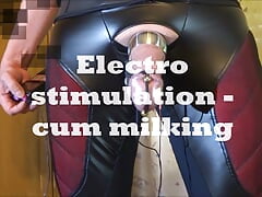 Electro stimulation - cum milking