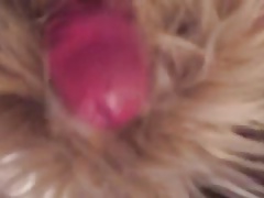 Fur Cum
