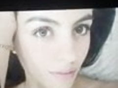 Cumtribute Alexa 03