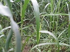 A boy fist in millet field hitting turban desi sex video
