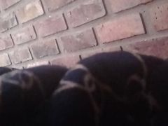 anal sex and lots of milk sex and toys