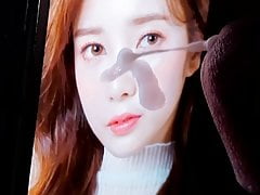 April Chaekyung Birthday cum tribute