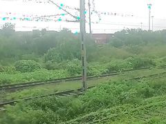 the girl on the train