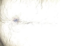 My cock - Il mio cazzo