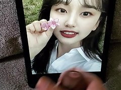 Korean girl tribute