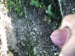 Largest cum