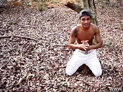 woods cruising