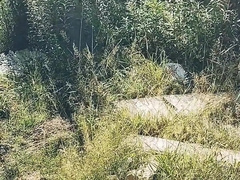 Woods jizz. Walk with final climax