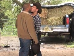 Cowboys Part two